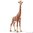 Girafa Femea