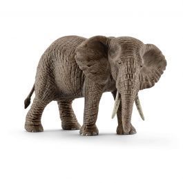 Elefante africano, hembra