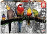 Puzzle - Pájaros en la selva - 17984 - 500 piezas