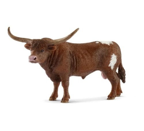 Boi Texas Longhorn