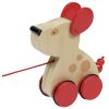 Cão de Arrasto