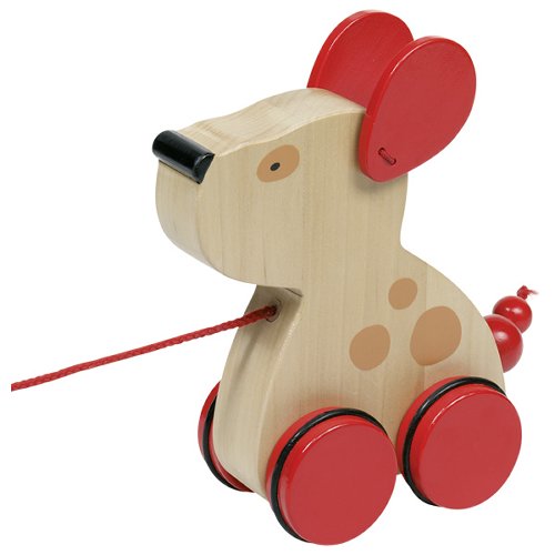 Cão de Arrasto