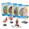 Modelos de Anatomia