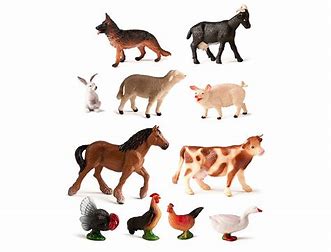 Animais da Quinta