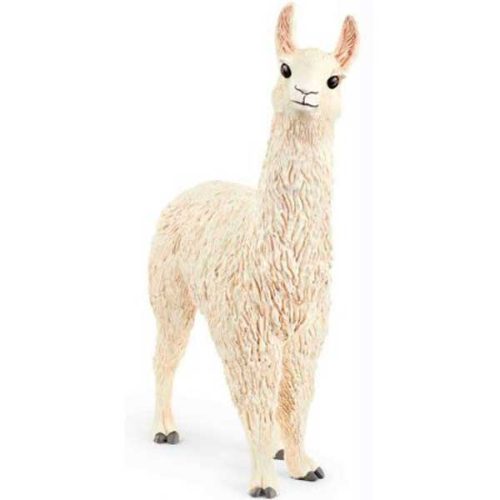Lama
