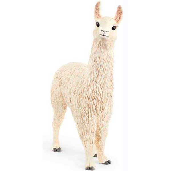 Lama