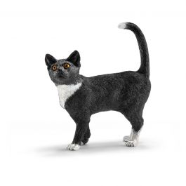 Gato de Pé