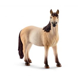 Égua Mustang