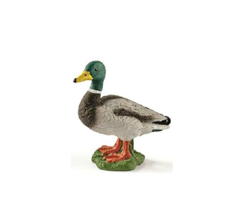 Pato