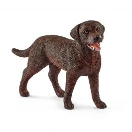 Labrador Fêmea