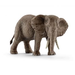 Elefante Africano Fêmea