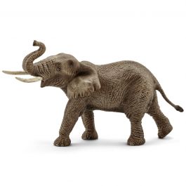 Elefante Africano Macho