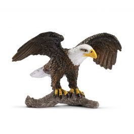 Águia Americana