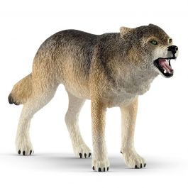 Lobo