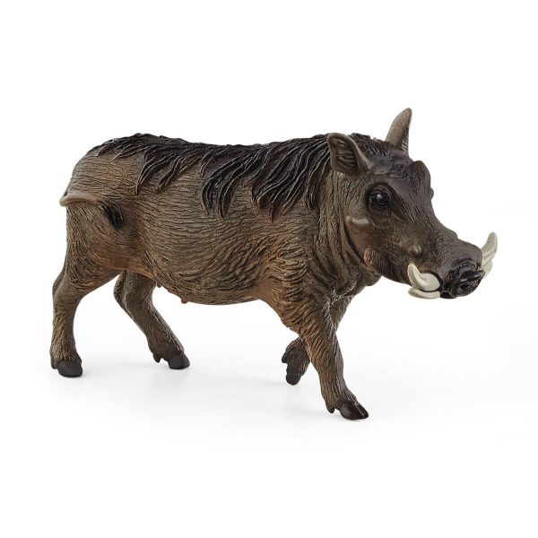 Javali Africano